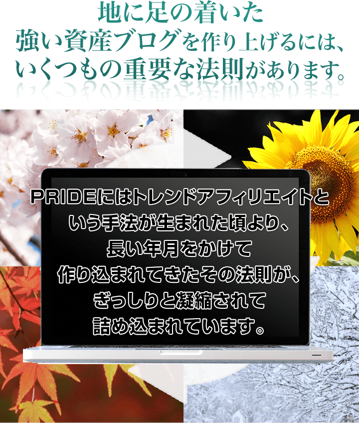 地に足の着いた強い資産ブログを作り上げるには、いくつもの重要な法則があります。PRIDEにはトレンドアフィリエイトという手法が生まれた頃より、長い年月をかけて作り込まれてきたその法則が、ぎっしりと凝縮されて詰め込まれています。