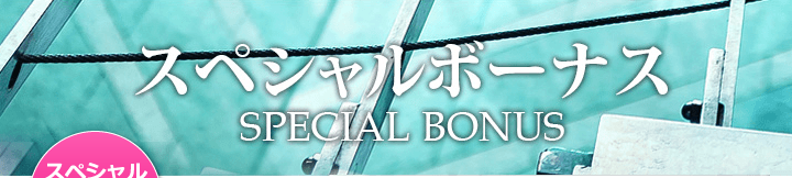 スペシャルボーナス SPECIAL BONUS